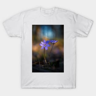 Beautiful anemone hepatica flower in the forest T-Shirt